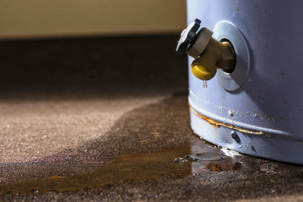 Best Flood damage cleanup  in Canyonville, OR