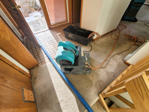 Best Commercial water damage restoration  in Canyonville, OR