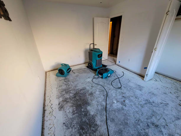 Best Sewage cleanup and water damage restoration  in Canyonville, OR