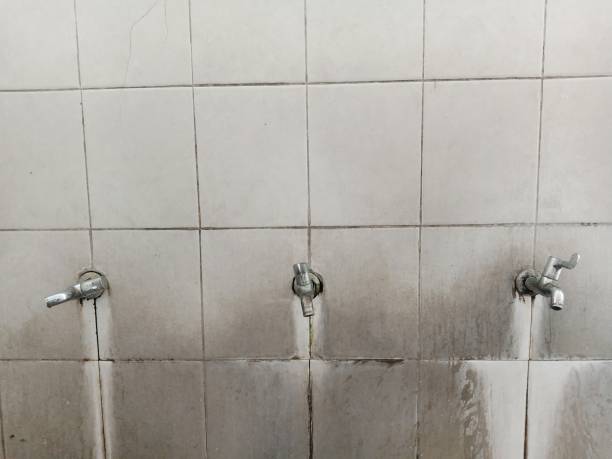 Best Local water damage restoration  in Canyonville, OR