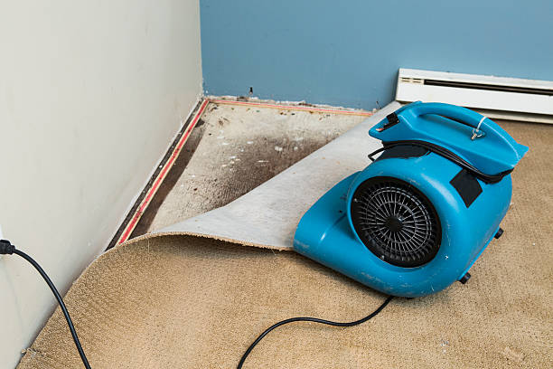 Best Water damage restoration near me  in Canyonville, OR